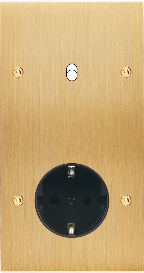 MODELEC - Façade Confidence Laiton Brosse Double Verticale B1 PCK Vis