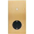 MODELEC - Façade Confidence Laiton Brosse Double Verticale B1 PCK Vis