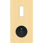 MODELEC - Façade "M" Laiton Brosse Double Verticale 1 Bouton 1 Prise magnétique