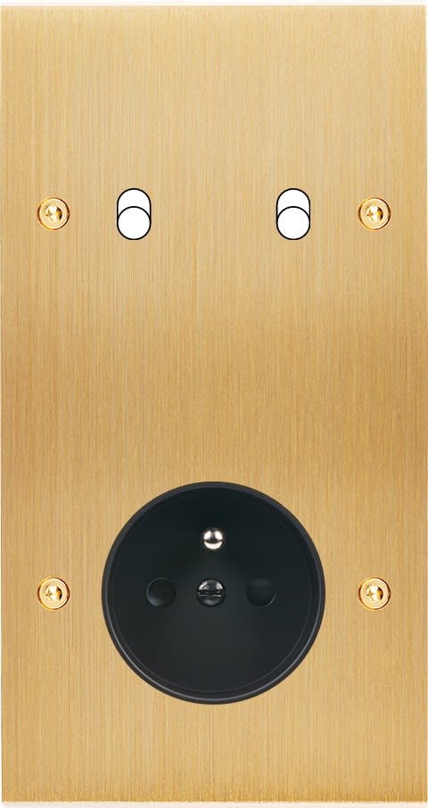 MODELEC - Façade Confidence Laiton Brosse Double Verticale B2 PC à Vis