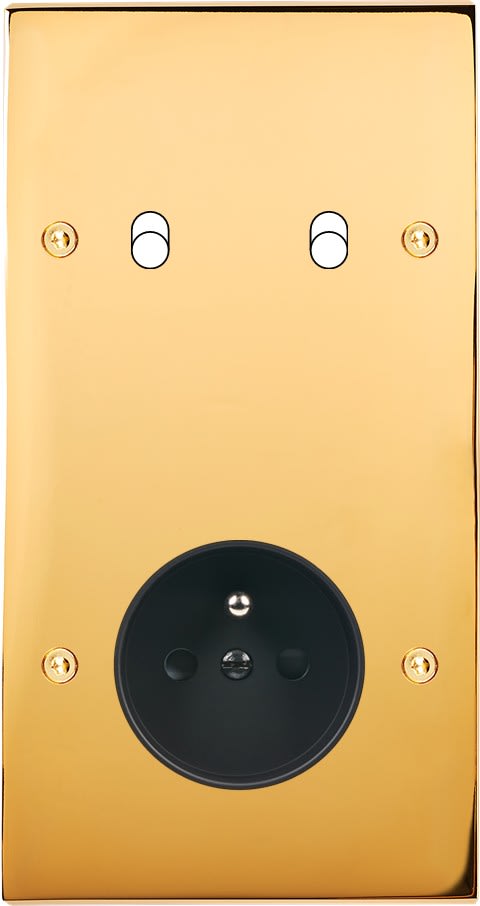 MODELEC - Façade Confidence Laiton Or Miroir Double Verticale B2 PC à Vis