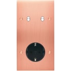 MODELEC - Façade Confidence Laiton Cuivre Satine Double Verticale B2 PCK Vis