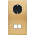 MODELEC - Façade Confidence Laiton Brosse Double Verticale PCK M2 Vis