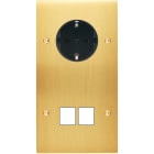 MODELEC - Façade Confidence Laiton Satine Double Verticale PCK M2 Vis