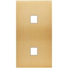 MODELEC - Façade Confidence Laiton Brosse Double Verticale M1 M1
