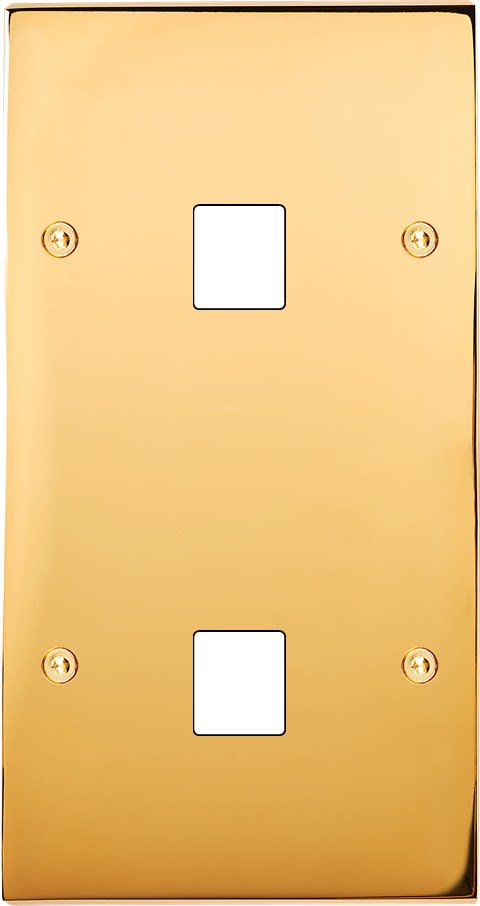 MODELEC - Façade Confidence Laiton Or Miroir Double Verticale M1 M1 à Vis
