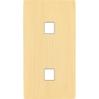 MODELEC - Façade "M" Laiton Brosse Double Verticale 1 Media magnétique