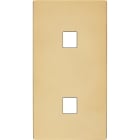 MODELEC - Façade "M" Laiton Miroir Double Verticale 1 Media magnétique