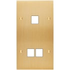 MODELEC - Façade Confidence Laiton Brosse Double Verticale M1 M2 à Vis