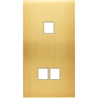 MODELEC - Façade Confidence Laiton Sat Double Verticale M1 M2