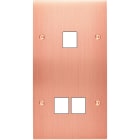 MODELEC - Façade Confidence Laiton Cuivre Satine Double Verticale M1 M2 à Vis