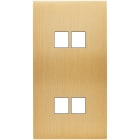 MODELEC - Façade Confidence Laiton Brosse Double Verticale M2 M2