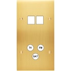 MODELEC - Façade Confidence Laiton Satine Double Verticale M2 C3 à Vis