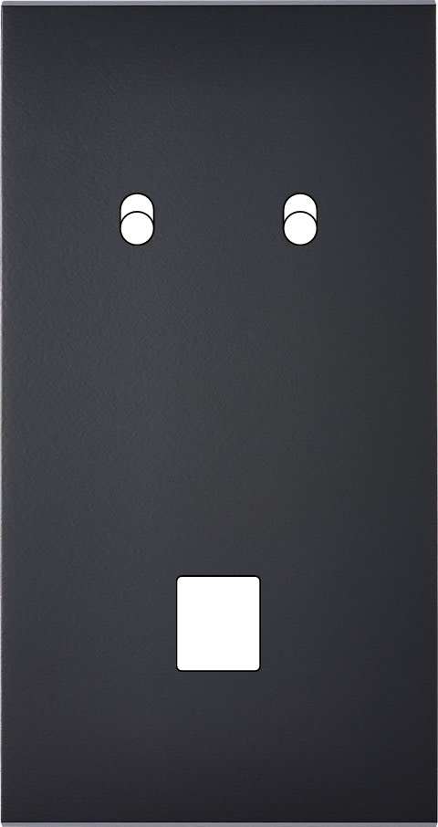 MODELEC - Façade Confidence Laiton Noir Double Verticale 2 Basculeurs M1 Magnetique