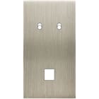 MODELEC - Façade Confidence Laiton Acier Double Verticale 2 Basculeurs M1 Magnetique