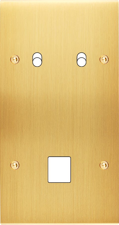 MODELEC - Façade Confidence Laiton Satine Double Verticale B2 M1 à Vis