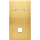MODELEC - Façade Confidence Laiton Satine Double Verticale B2 M1 à Vis