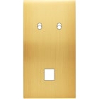 MODELEC - Façade Confidence Laiton Satine Double Verticale 2 Basculeurs M1 Magnetique