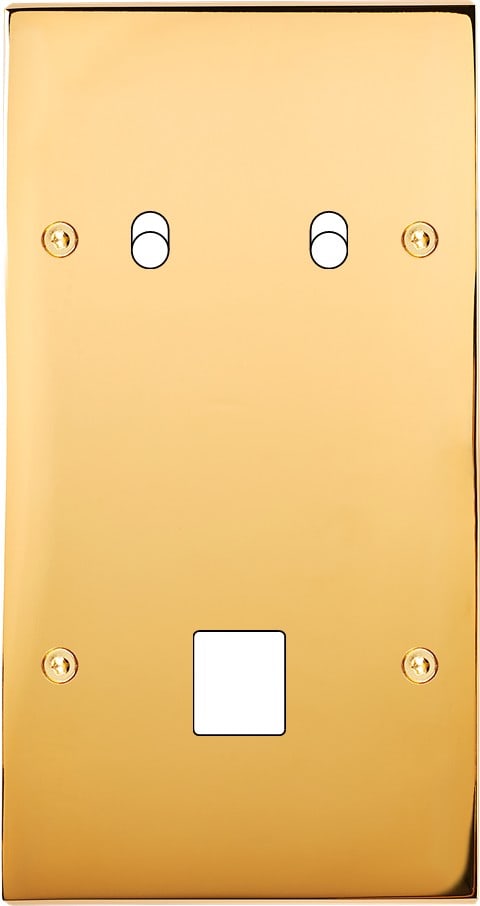 MODELEC - Façade Confidence Laiton Or Miroir Double Verticale B2 M1 à Vis