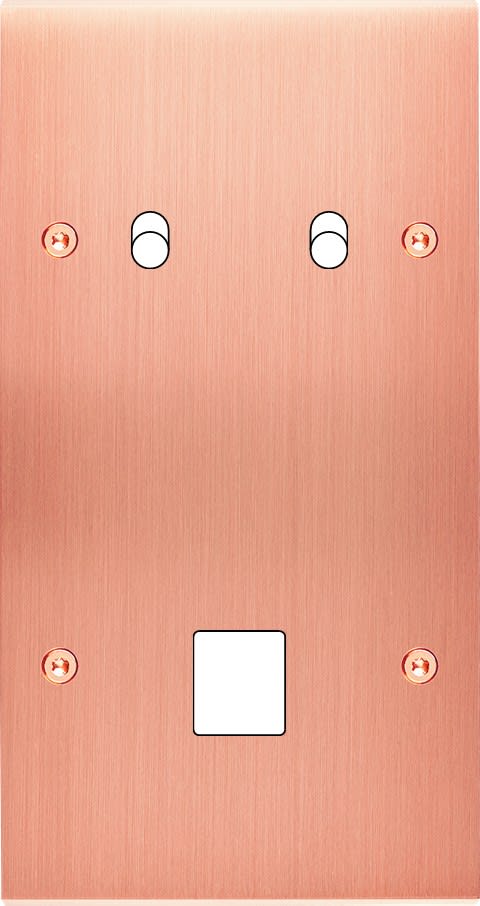 MODELEC - Façade Confidence Laiton Cuivre Satine Double Verticale 2 Basculeurs M1 à Vis