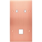 MODELEC - Façade Confidence Laiton Cuivre Satine Double Verticale 2 Basculeurs M1 à Vis