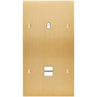 MODELEC - Façade Confidence Laiton Brosse Double Verticale B1 U1 à Vis