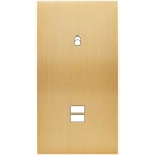 MODELEC - Façade Confidence Laiton Brosse Double Verticale B1 U1