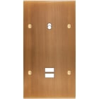 MODELEC - Façade Confidence Laiton Vieux Bronze Double Verticale B1 U1 à Vis