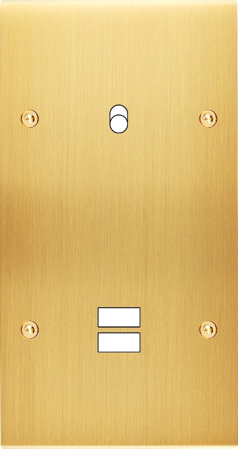 MODELEC - Façade Confidence Laiton Satine Double Verticale B1 U1 à Vis