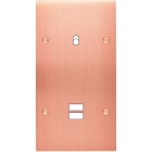MODELEC - Façade Confidence Laiton Cuivre Satine Double Verticale B1 U1 à Vis