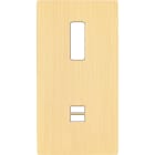 MODELEC - Façade "M" Laiton Brosse Double Verticale 1 Bouton magnétique