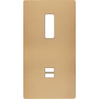 MODELEC - Façade "M" Laiton Sable Double Verticale 1 Bouton magnétique