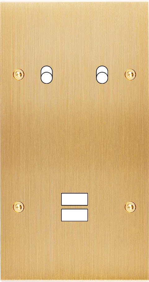 MODELEC - Façade Confidence Laiton Brosse Double Verticale B2 U1 à Vis