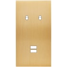 MODELEC - Façade Confidence Laiton Brosse Double Verticale B2 U1