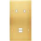 MODELEC - Façade Confidence Laiton Satine Double Verticale B2 U1 à Vis