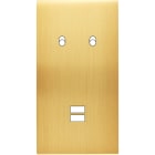 MODELEC - Façade Confidence Laiton Satine Double Verticale B2 U1