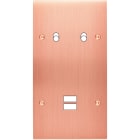 MODELEC - Façade Confidence Laiton Cuivre Satine Double Verticale B2 U1 à Vis