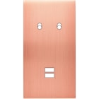 MODELEC - Façade Confidence Laiton Cuivre Satine Double Verticale B2 U1