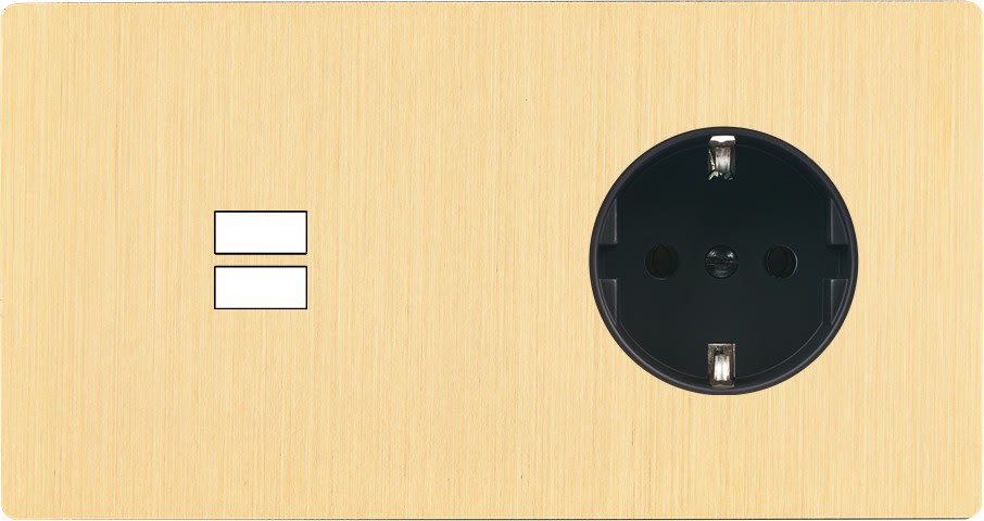 MODELEC - Facade M Laiton Brosse Double Horizontale 1 Chargeur USB P magnetique