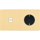 MODELEC - Façade "M" Laiton Brosse Double Horizontale 1 Chargeur USB P magnétique