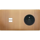 MODELEC - Façade "M" Laiton Vieux Bronze Double Horizontale 1 Chargeur USB 1 PC magnétique