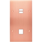 MODELEC - Façade Confidence Laiton Cuivre Satine Double Verticale U1 M1 à Vis