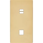 MODELEC - Façade "M" Laiton Verni Double Verticale 1 Chargeur USB magnétique