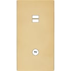 MODELEC - Façade "M" Laiton Verni Double Verticale 1 Chargeur USB magnétique