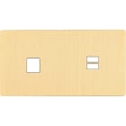 MODELEC - Façade "M" Laiton Brosse Double Horizontale 1 Media 1 Chargeur USB magnétique