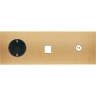 MODELEC - Façade Confidence Laiton Brosse Triple Horizontale PCK M1 C1 Magnetique