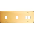 MODELEC - Façade Confidence Laiton Or Miroir Triple Horizontale M1 M1 M2 à Vis