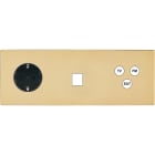 MODELEC - Façade "M" Laiton Miroir Tripl Horiz 1 Prise Schuko 1 Media 1 Tv-Fm-Sat magnétiq