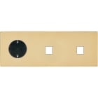 MODELEC - Façade "M" Laiton Verni Triple Horizonta 1 Prise Schuko 1 Media 1 Media magnétiq