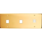 MODELEC - Façade Confidence Laiton Or Miroir Triple Horizontale M1 M1 U1 Vis
